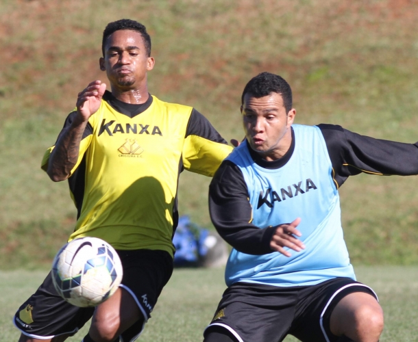 Tigre faz treino tático