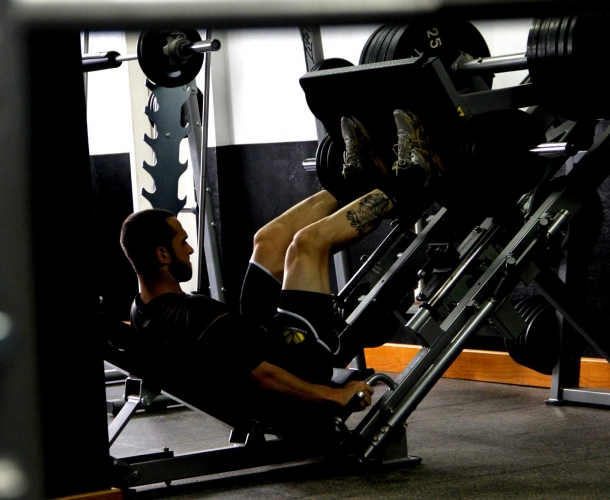 Tigre faz treino técnico e de força