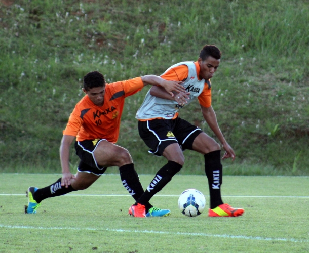 Tigre trabalha em dois períodos