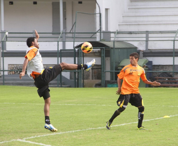 Tigre treina nas Laranjeiras