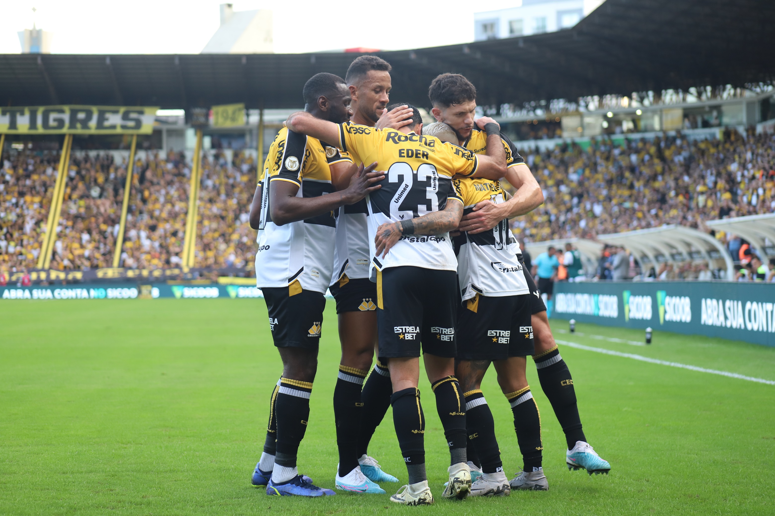 Tigre vence o Botafogo no HH