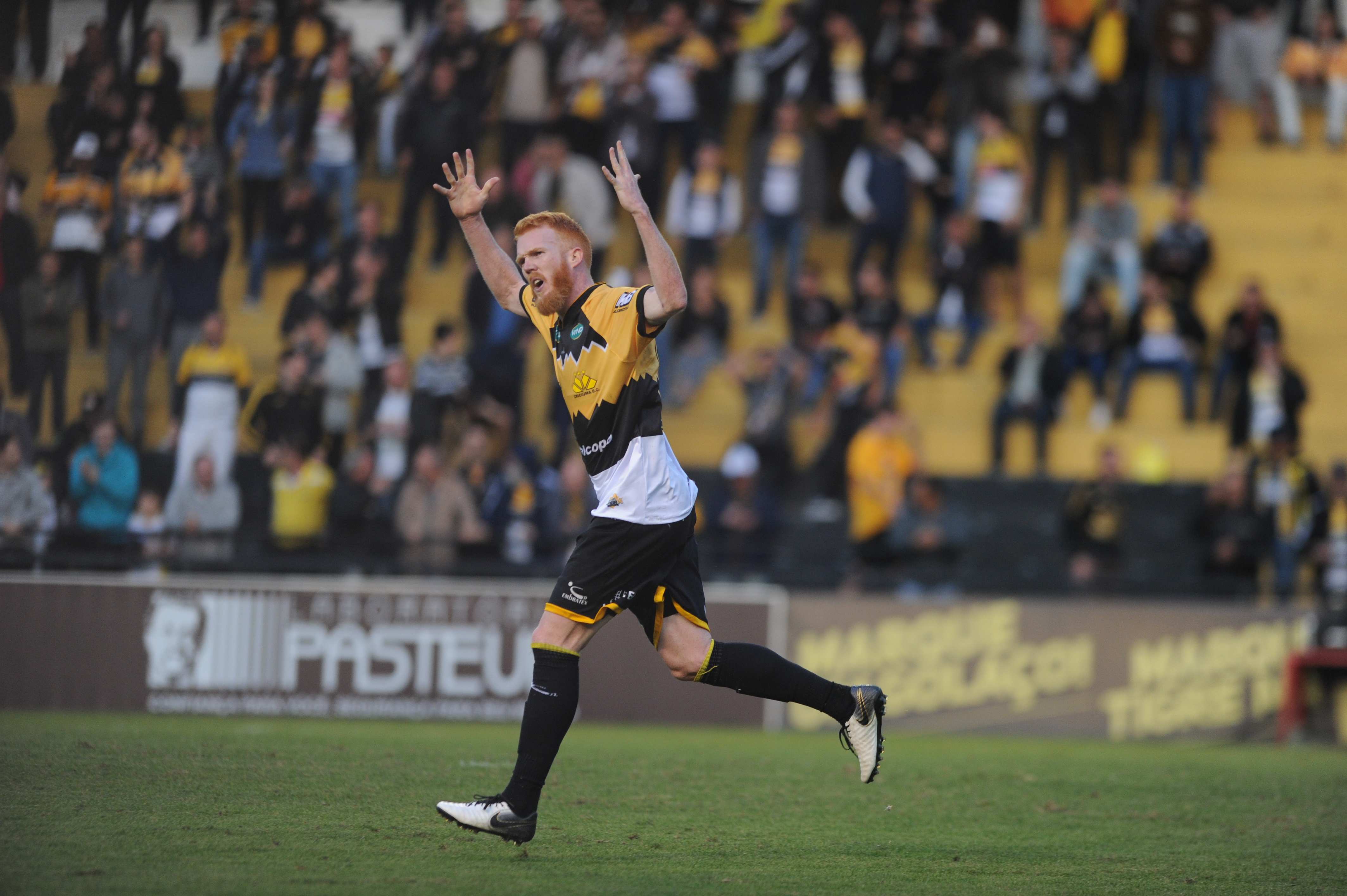 Tigre vence o Sport no Majestoso